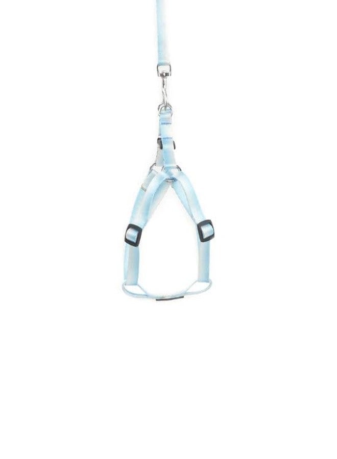 KittuPet طقم سرج ومقود للكلاب الصغيرة من كيتو بيت، لون أزرق. انتقل من سرج للكلب الكبير إلى سرج للجرو. - Image 1